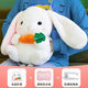 KYODO 鯨美多日本進(jìn)口品質(zhì)熱水袋充電暖寶寶靠枕午睡枕趴可愛(ài)毛絨暖可插暖手寶 長(cháng)耳白兔【外套+熱水袋】 2025年新款