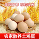 云依禾農莊 散養雞蛋新鮮現撿土雞蛋谷物蟲(chóng)草柴雞蛋笨雞蛋生鮮 【鮮雞蛋】10枚