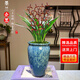 劉閣蘭花傳統蘭花墨蘭企黑5苗帶花芽帶山水如畫(huà)陶瓷盆花卉盆栽源頭直發(fā)