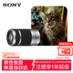 索尼（SONY）E 55-210mm APS-C畫(huà)幅遠攝大變焦微單相機鏡頭 銀色E卡口