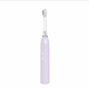 同同家聲波智能電動(dòng)牙刷成人男女生全自動(dòng)軟毛學(xué)生情侶套裝 熏衣紫 【標準款】進(jìn)口PC機身*1+刷頭*2