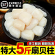 貝柱新鮮現剝原漿扇貝柱瑤柱貝肉凈重刺身冰鮮冷凍大號元貝柱順豐 【5斤裝】肉質(zhì)飽滿(mǎn) 新鮮美味