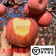 順豐大連瓦房店蘋(píng)果早紅富士黃瓤當季新鮮水果望鄉紅王香紅 80-85mm 5斤望鄉紅蘋(píng)果大果 1罐/箱