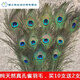 君默天然真孔雀尾羽羽毛翎尾大眼睛 客廳擺件花瓶插花裝飾品diy配件孔 70-80厘米：優(yōu)選大眼睛12支