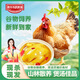 魯爺爺的農場(chǎng) 清真老母雞新鮮現殺山林散養土雞現抓原糧飼喂母雞 《1只裝》黃油老母雞1年 凈重2.3-2.4斤