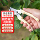 春曄園藝剪刀修枝鉗花藝果樹(shù)省力修枝剪園林盆栽花卉綠植剪子 米白色