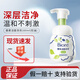 Biore碧柔洗面奶氨基酸清潔控油潔面乳凈毛孔去黑頭潔面泡沫男女禮物 【控油型】碧柔洗面奶160ml綠色