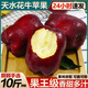 京橙美錦甘肅天水花牛蘋(píng)果新鮮水果當季香甜多汁蛇紅果現摘大果平安圣誕果 帶箱9.5-10斤大果(果徑75-80mm)精選裝 新鮮