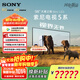 索尼（SONY）K-98XR50【包掛墻安裝】索尼電視5系120Hz高刷 MiniLED一級能效98英寸智能超薄電視機國家補貼20% 98英寸 K-98XR50
