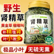 草木方 腎精草100g  嗷嗷叫腎精草 長(cháng)白山野生腎精茶黃金草嗷嗷叫養生茶