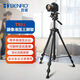 百諾（Benro）T981 便攜微單反相機手柄豎拍三維云臺視頻采訪(fǎng)直播攝影攝像儀器測溫儀手機夾液壓三腳架