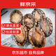 鮮京采  鮮活鮑魚(yú)禮盒2斤（12-16只）?；畹郊?煲湯食材 源頭直發(fā)