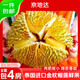 京地達新鮮榴蓮正宗泰國金枕頭凈重5斤起包4房起1個(gè)果源頭直發(fā)包郵