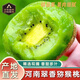 傾睦河南南陽(yáng)翠香獼猴桃 綠寶石綠肉軟糯爆汁自然熟現摘現發(fā)新鮮水果 翠香獼猴桃【單果70-90g】30枚