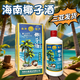 椰之伴海南椰子酒125ml*8瓶 椰子伴椰奶酒菠蘿酒芒果酒海南風(fēng)味果酒禮盒 椰子酒禮盒500ml*1 瓶（三亞發(fā)貨）