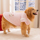嬉皮狗（hipidog）寵物狗狗衣服秋冬季加厚棉衣金毛薩摩拉布拉多大型犬棉襖馬甲冬天 奧麗粉 8XL （建議體重70-80斤）