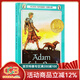 英文原版 Adamof the Road 亞當在路上 紐伯瑞兒童文學(xué)金獎小說(shuō) 青少年課外閱讀 蘭斯指數1030L 綠山墻