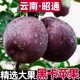 云南昭通黑卡蘋(píng)果黑鉆黑色甜新鮮水果當季整箱10斤包郵嘎啦不常見(jiàn) 9斤裝 品質(zhì)精選大果