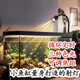 燕之雁 南美缸射燈 循環(huán)定時(shí) 三色變光 可調焦  魚(yú)缸雨林缸照明水草燈3w