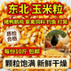 2025年?yáng)|北新玉米粒10斤干玉米粒喂豬雞鴨鵝鳥(niǎo)家禽飼料鴿子糧釣魚(yú) 精選玉米粒(10斤裝)國儲標準 黑龍江玉米粒-顆顆飽滿(mǎn)