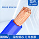 國標電線(xiàn)RV10 16 25 35平方單芯多股銅芯特軟電線(xiàn)電瓶汽車(chē)連接線(xiàn) 國標 細軟線(xiàn) 25平方 藍色 1米