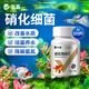 華畜硝化細菌魚(yú)缸用專(zhuān)用膠囊凈水劑活菌干粉水質(zhì)穩定凈化水族魚(yú)用