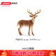 思樂(lè )（Schleich S）新年禮物仿真非洲草原動(dòng)物模型長(cháng)頸鹿白尾鹿劍羚男女孩兒童玩具禮 白尾鹿14818
