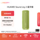 華為Sound Joy 2藍牙版便攜式音箱高保真立體聲26小時(shí)長(cháng)續航戶(hù)外音響 向新綠
