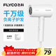 飛科（FLYCO）負離子電吹風(fēng)機家用便攜出游速干冷熱風(fēng)大功率吹風(fēng)筒FH6276