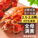 【活蟹】乾澄大閘蟹現貨 全母蟹2.5-2.8兩8只 鮮活螃蟹去繩足重年貨海鮮禮盒源頭直發(fā)