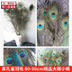 Aseblarm真孔雀羽毛80-90cm孔雀毛插花瓶時(shí)尚裝飾婚慶羽毛diy飾品配件 80-90cm孔雀羽毛 5條