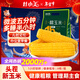 灶小美【頭茬新貨】黃糯玉米 3.6斤8根*230g甜黏粘苞米棒子 粗糧早餐