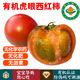 【順豐】有機虎眼西紅柿 云南高原甜橙柿子 新鮮健康有機蔬菜 3斤 【風(fēng)味濃郁】