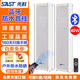 先科（SAST）YL-21戶(hù)外藍牙防水音柱40W室外掛墻壁掛式音響功放喇叭套裝音箱學(xué)校操場(chǎng)會(huì )議廣播店鋪音樂(lè )一拖一