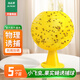 加品惠果蠅誘捕球5個(gè)水果店家用粘蟲(chóng)球小飛蟲(chóng)神器蒼蠅誘滅器