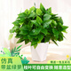 悠梵萌仿真綠植綠蘿葉客廳盆栽室內盆景人造假植物裝飾桌面六邊形盆