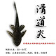 何佳功魚(yú)缸清道夫清潔工吃糞便淡水觀(guān)賞魚(yú)好養耐活垃圾魚(yú)熱帶工具魚(yú) 8-10cm黑夫1條