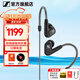 森海塞爾（Sennheiser）IE900/IE600/IE300旗艦級HIFI高保真超寬單動(dòng)圈單元可拆卸MMCX掛耳式耳機 高保真發(fā)燒有線(xiàn)耳機耳塞 IE300 【進(jìn)階HIFI高保真】