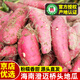 有鮮氣【源頭直發(fā)】海南澄邁橋頭地瓜 富硒紅薯沙地種植 長(cháng)壽之鄉特產(chǎn) 凈重3斤 普通快遞 手指果