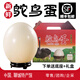 現撿現發(fā)新鮮鴕鳥(niǎo)蛋超大可食用可孵化自家養殖禮盒裝節日禮品送禮 2.8-3.0斤（送禮盒+木托）