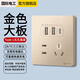 國際電工暗裝86型20W快充USB插座開(kāi)關(guān)面板墻壁手機充電Type-c家用五孔 五孔20W快充USB+type-c【金色】 
