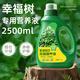 金雅特幸福樹(shù)專(zhuān)用植物營(yíng)養液綠植花卉盆栽發(fā)濃縮液體肥料2500ml