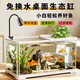 坤寧王魚(yú)缸一體缸免換水全自動(dòng)家用小型水族箱桌面生態(tài)金魚(yú)缸30*18*19cm