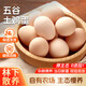 耕果妙【山林散養·蛋黃鎏金】農家谷物慢養鮮柴雞蛋50g±5g嚴選大顆 【試吃】土雞蛋6枚