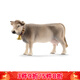 思樂(lè )（Schleich S）新年禮物仿真動(dòng)物模型母公牛長(cháng)角牛奶牛犢男孩女孩兒童玩具3+ 瑞士褐牛母牛13874