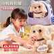 麥格萌兒童玩具女孩生日禮物2-3-6歲過(guò)家家玩具寵物狗狗小白兔新年禮物 小金毛【寵物背包/喂養護理】 寶寶2-3-6歲陪伴寵物玩偶