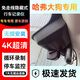 哈弗大狗二代大狗行車(chē)記錄儀專(zhuān)用免走線(xiàn)隱藏式高清23-26款 哈弗大狗專(zhuān)用 【單錄】2K超清+【64G】