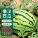 花沃里懶漢西瓜種子50粒/包 蔬菜種子陽(yáng)臺花盆西瓜家庭盆栽庭院田間菜籽
