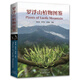 【高清彩圖】羅浮山植物圖鑒 曾云保 陳又生 宋柱秋 羅浮山常見(jiàn)植物識別必備 嶺南山區植物圖鑒書(shū) 1651種羅浮山植物圖片植物名錄