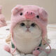可愛(ài)搞怪小豬頭套寵物帽子貓咪狗狗頭飾鯛魚(yú)燒拍照道具變裝服 小豬帽